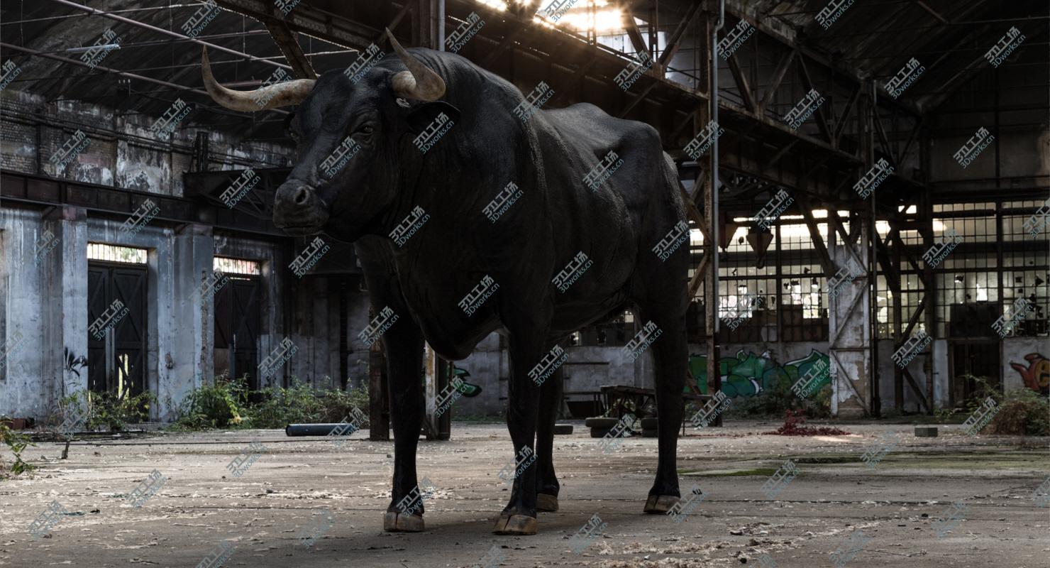 images/goods_img/20210319/Bull Cow (NoFur) (Rigged) 3D/4.jpg